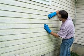 Best Storm Damage Siding Repair  in Willowbrook, CA